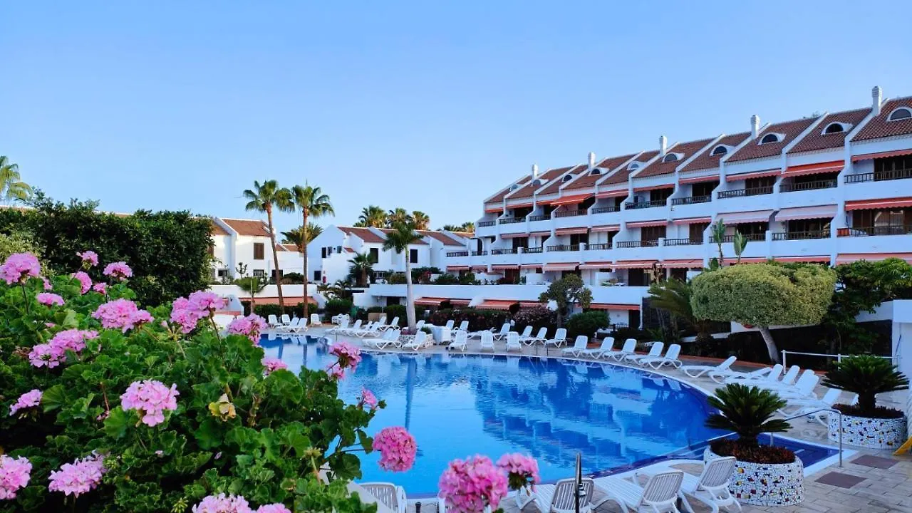 Atico En Parque Santiago I Apartment Playa de las Americas  0*, Playa de las Americas (Tenerife)